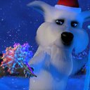 ���� �����, ������, 22 ���� - ��������� 28 ������� 2012 � ������ �������� ��������