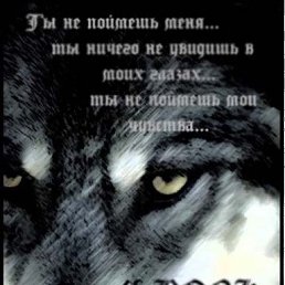 ���� ������, ���������, 40 ��� - ��������� 4 ������� 2012