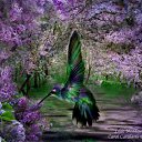 ���� �������, ������ - ��������� 21 ������ 2012 � ������ ���������