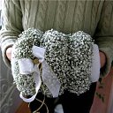 ���� �����, ������, 62 ���� - ��������� 14 ���� 2013 � ������ ���� ���������