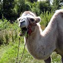 �� �� 2 �� ������� �������