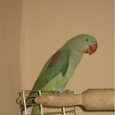 ���� ���, ����� - ��������� 27 ������� 2012 � ������ ���� ����������