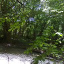 ���� ����, ����������� - ��������� 15 ���� 2013 � ������ ��� �����