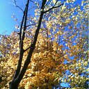 ���� ����(�� �������), ��������������, 62 ���� - ��������� 14 ������� 2011 � ������ ���������������