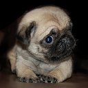 ���� �����, ���� - ��������� 26 ������� 2013 � ������ ���� ������ ������� �����, ��� ������ �������� ������)))�