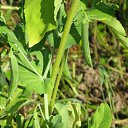 ���� ��������, ����, 53 ���� - ��������� 23 ���� 2009 � ������ ������������