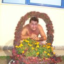  ,  -  15  2010   ٨ ߻