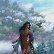 �������, 41 ���, �����������