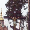 ���� �����, �������, 42 ���� - ��������� 15 ������ 2011 � ������ �������