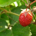 ���� �������, ������, 60 ��� - ��������� 2 ������� 2011