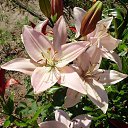 ���� �������, ������, 68 ��� - ��������� 1 ������ 2011 � ������ ���������, �������, �������� (����� � �����)�