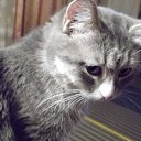 ���� �����, �����, 53 ���� - ��������� 12 ���� 2011 � ������ ���� ������� ��������