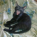 ���� Demon Diablovich, �����-���������, 42 ���� - ��������� 14 ������ 2012 � ������ �������� ������ � ��� ������� ������
