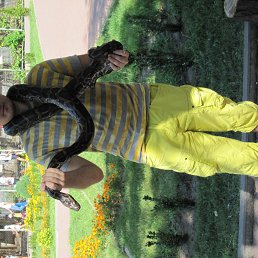 ���� �����, ����������, 32 ���� - ��������� 10 ������ 2012