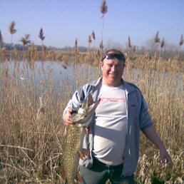 ���� ���������, ���������, 61 ��� - ��������� 17 ������� 2011