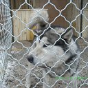 ���� Arsenty, ������������, 64 ���� - ��������� 28 ������ 2011 � ������ ���� ����������