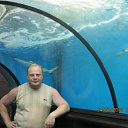 ���� ����, ����, 54 ���� - ��������� 18 ������� 2012 � ������ ���� ����������