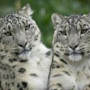 ���� ����, ����-���, 59 ��� - ��������� 3 ������ 2010 � ������ ������ ))�