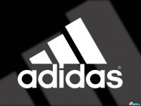  ˸, , 37  -  17  2011