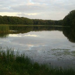 ����� ��������...