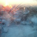 ���� �����, �������, 44 ���� - ��������� 25 ������� 2009 � ������ �������