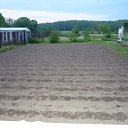 ���� ����@, ��������, 62 ���� - ��������� 29 ��� 2010 � ������ ��������� �������