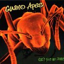  Ҹ, -, 35  -  25  2010   Guano Apes