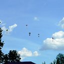 ���� ������, ������ ��������, 72 ���� - ��������� 17 ���� 2013 � ������ ���������� ������� ��������