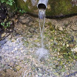 �������, ������, 54 ����