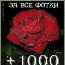 ���� �������, ������� ����, 35 ��� - ��������� 15 ������� 2010 � ������ ���������