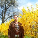 ���� �������, �����, 72 ���� - ��������� 19 ��� 2013 � ������ ���� ����������