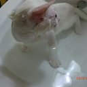 ���� ������, ������, 53 ���� - ��������� 11 ������ 2011 � ������ ��������