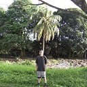 ���� ���������, ������ - ��������� 15 �������� 2011 � ������ ���� ����������