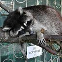 ���� ���, ������� ���� - ��������� 9 ������ 2011 � ������ �� � ��� ������� �����