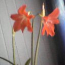 ���� ��������, ������� ����� - ��������� 26 ���� 2013 � ������ ���� ����������