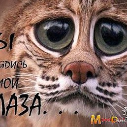 ���� ���, �����-���������, 47 ��� - ��������� 26 ������ 2010