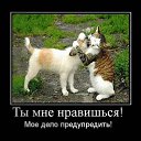 ���� �����k� ������, ����������, 49 ��� - ��������� 10 ������ 2011 � ������ �Demativators�