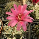 ���� ������, ������, 69 ��� - ��������� 5 ������ 2013 � ������ ���� ��������� ����������