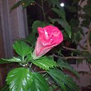 ���� ������, ������� - ��������� 2 ������� 2013 � ������ �������