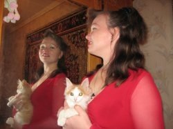 ���� �����, ������, 48 ��� - ��������� 6 ���� 2013