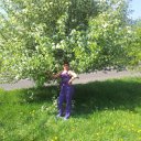 ���� �����, �����������-��-�����, 50 ��� - ��������� 26 ������� 2012 � ������ ���� ����������