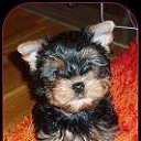 ���� ������, ������, 50 ��� - ��������� 30 �������� 2009 � ������ �������