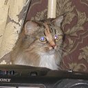 ���� ������, ������� - ��������� 7 ����� 2012 � ������ ���� ����������