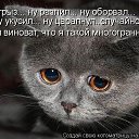  ,  -  17  2009    ))))