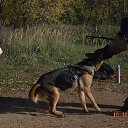 ��� �� ������ �������� �� ������� �������