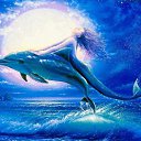 ���� Knoss, ������������, 26 ��� - ��������� 29 ������ 2010 � ������ �������� � �����