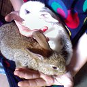  , , 41  -  29  2010      (2010)