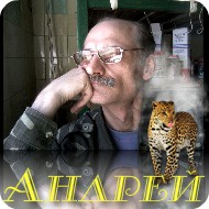 ���� ������, ������, 59 ��� - ��������� 18 ������ 2012