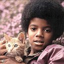  ,  -  25  2010    - ...........................