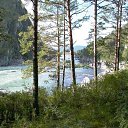 ���� ���� ������, ��������, 50 ��� - ��������� 8 ���� 2013 � ������ ���� ����������